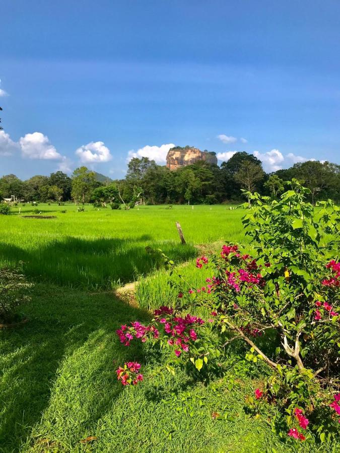 Castle View Sigiriya Hotel Екстериор снимка